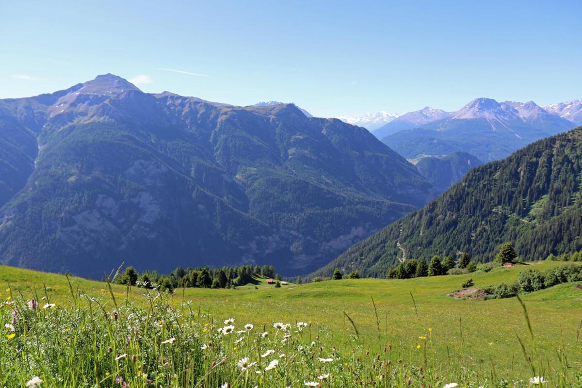 Pension Fuchs Pfunds Extérieur photo