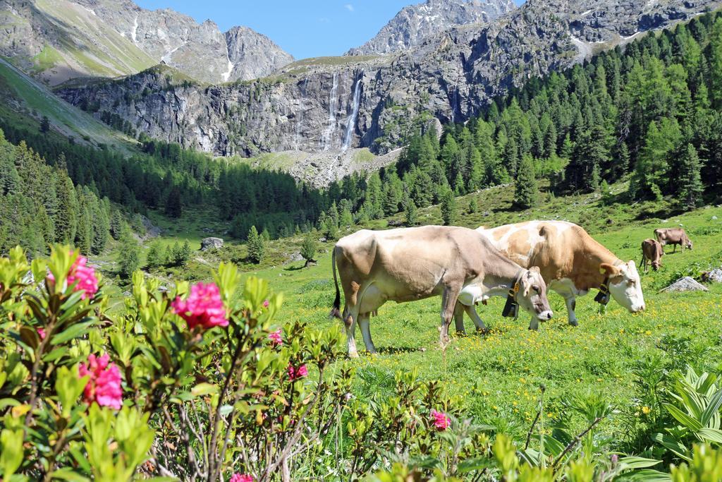 Pension Fuchs Pfunds Extérieur photo